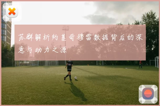 苏群解析约基奇穆雷数据背后的深意与动力之源