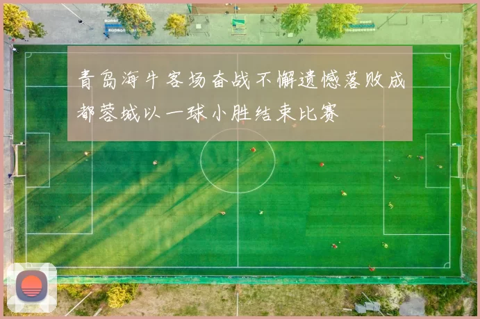 青岛海牛客场奋战不懈遗憾落败成都蓉城以一球小胜结束比赛